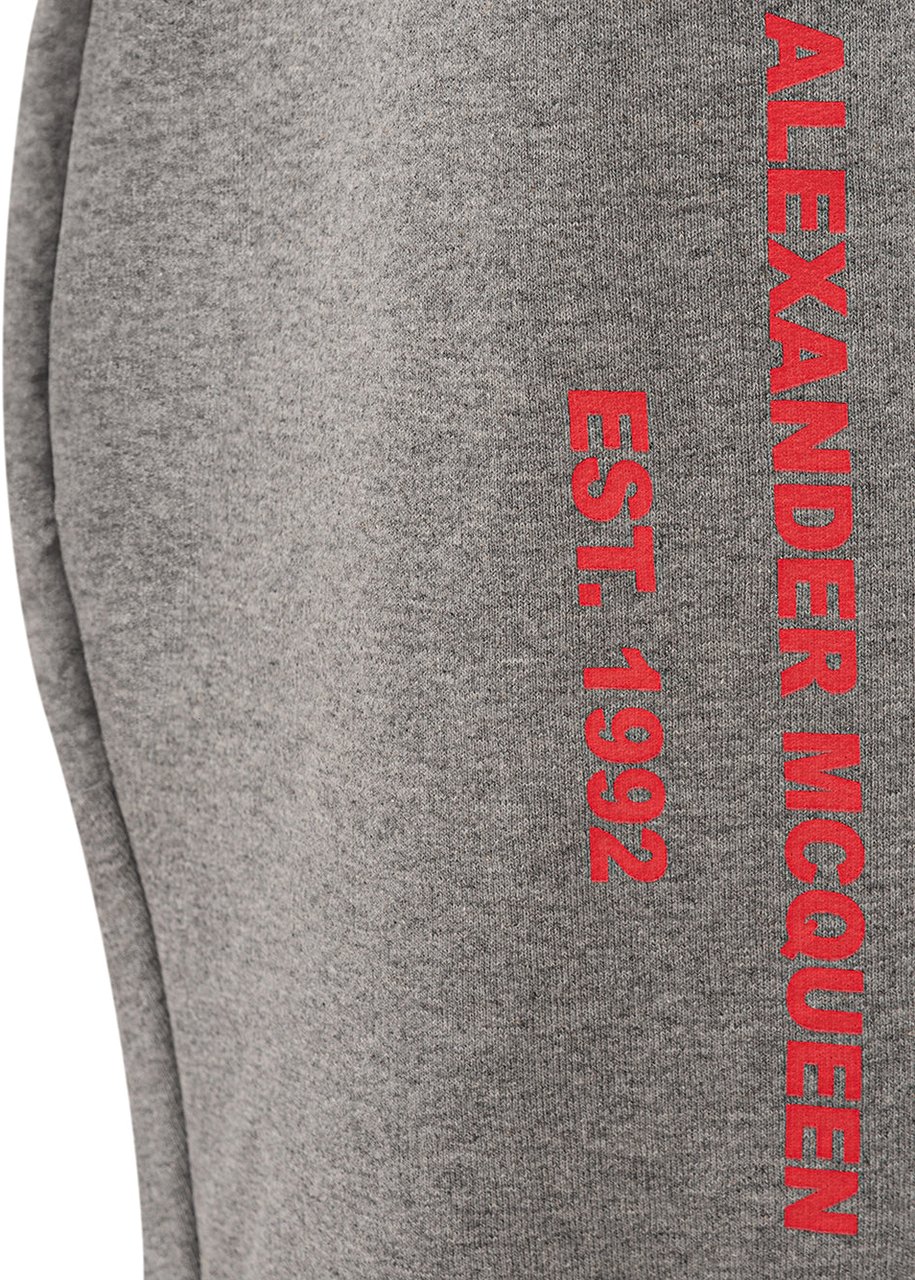 Alexander McQueen Sweatpants Grey Divers