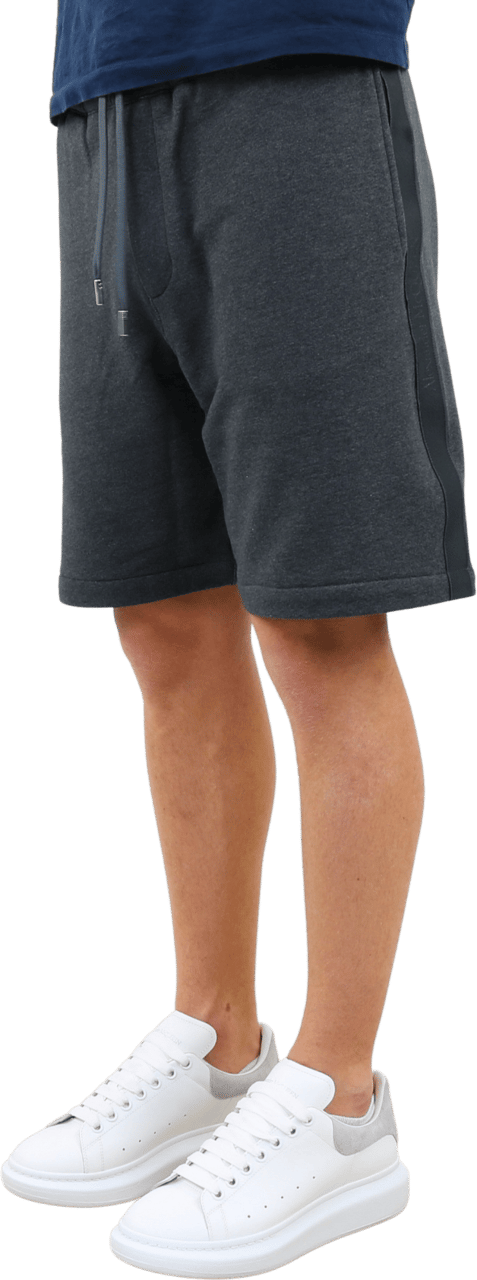 Alexander McQueen Heren SHORTS Grijs