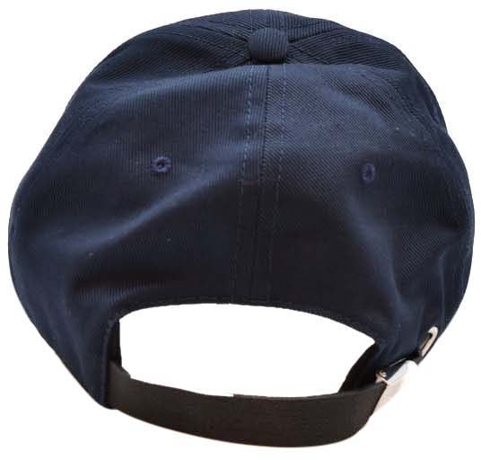 Alexander McQueen Hat Blue Blauw