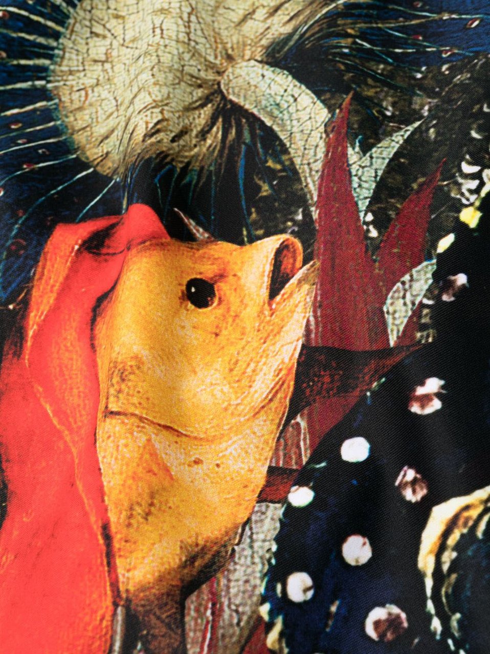 Alexander McQueen Sea Clothing Multicolour Divers