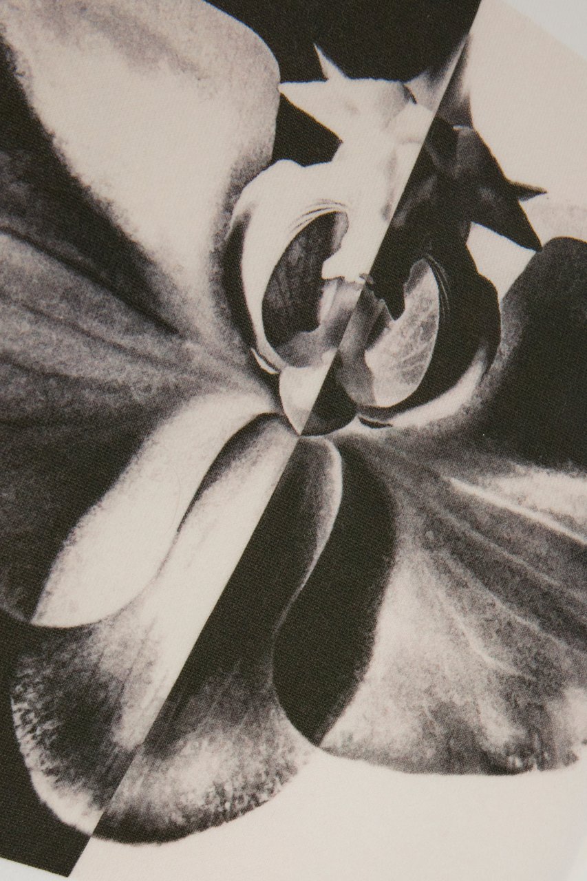 Alexander McQueen Alexander McQueen White cotton sweatshirt Wit