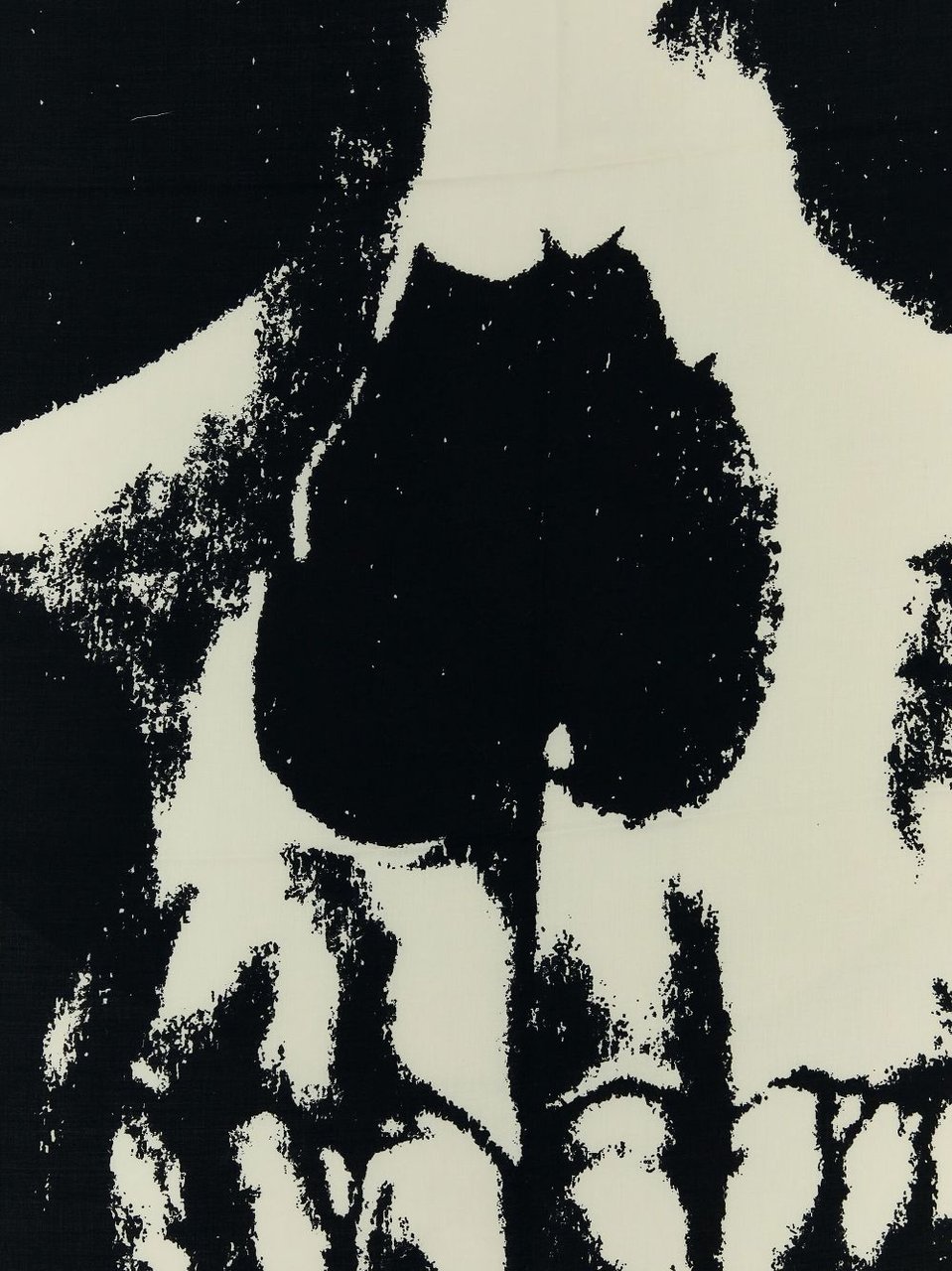 Alexander McQueen Scarfs Black Zwart