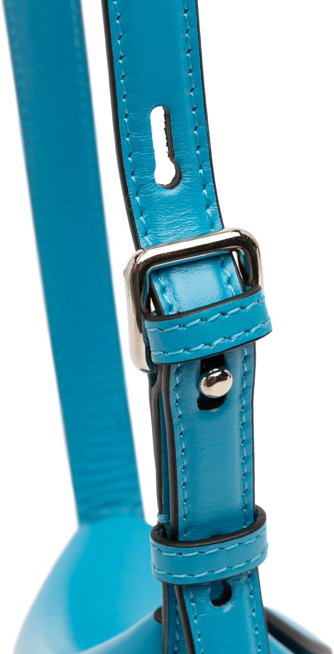 Alexander McQueen Calfskin The Curve Bucket Bag Blauw