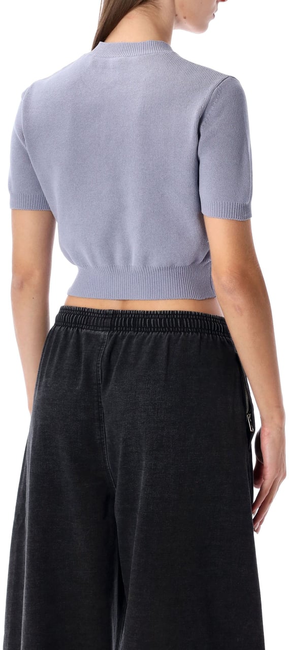 Alexander Wang Embossed Logo Ribbed Ss Tee Lavender Grey Grijs