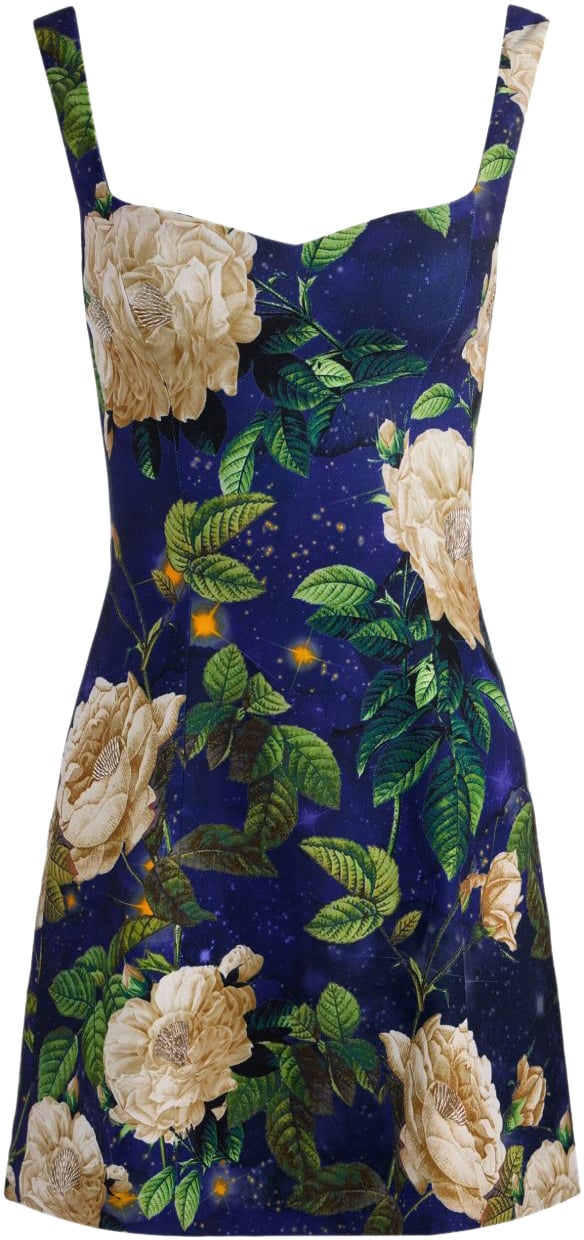 Alice + Olivia Dresses Blue Blauw