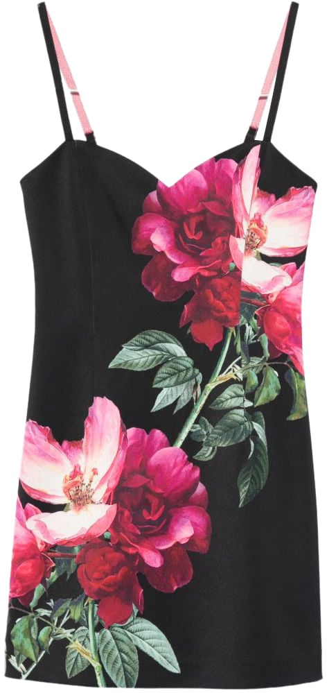 Alice + Olivia Dresses Black Zwart