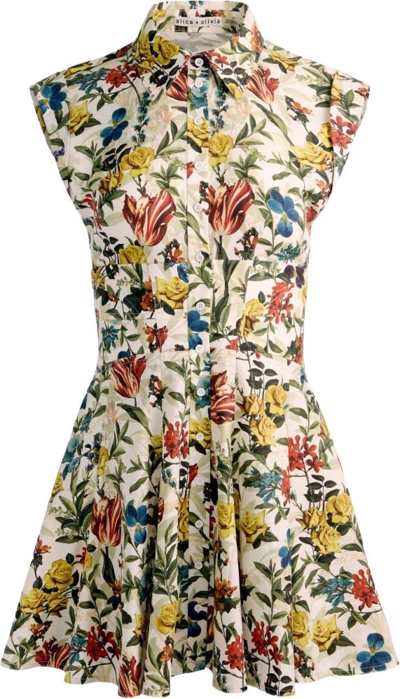 Alice + Olivia Dresses Avorio Divers