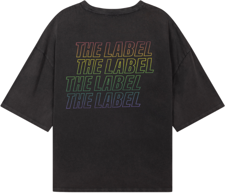 ALIX Print T-Shirt Grijs