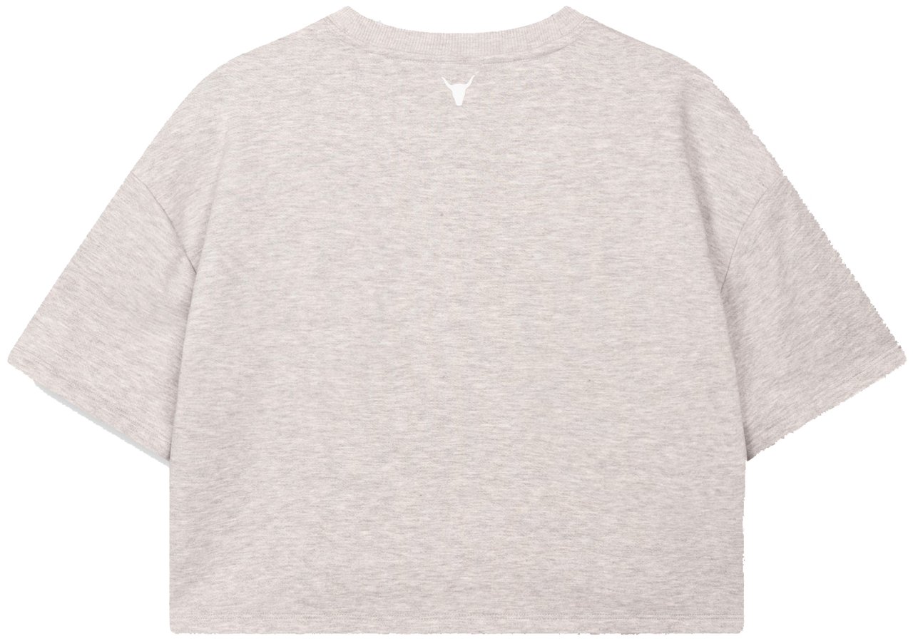 ALIX Sweat T-Shirt Grijs
