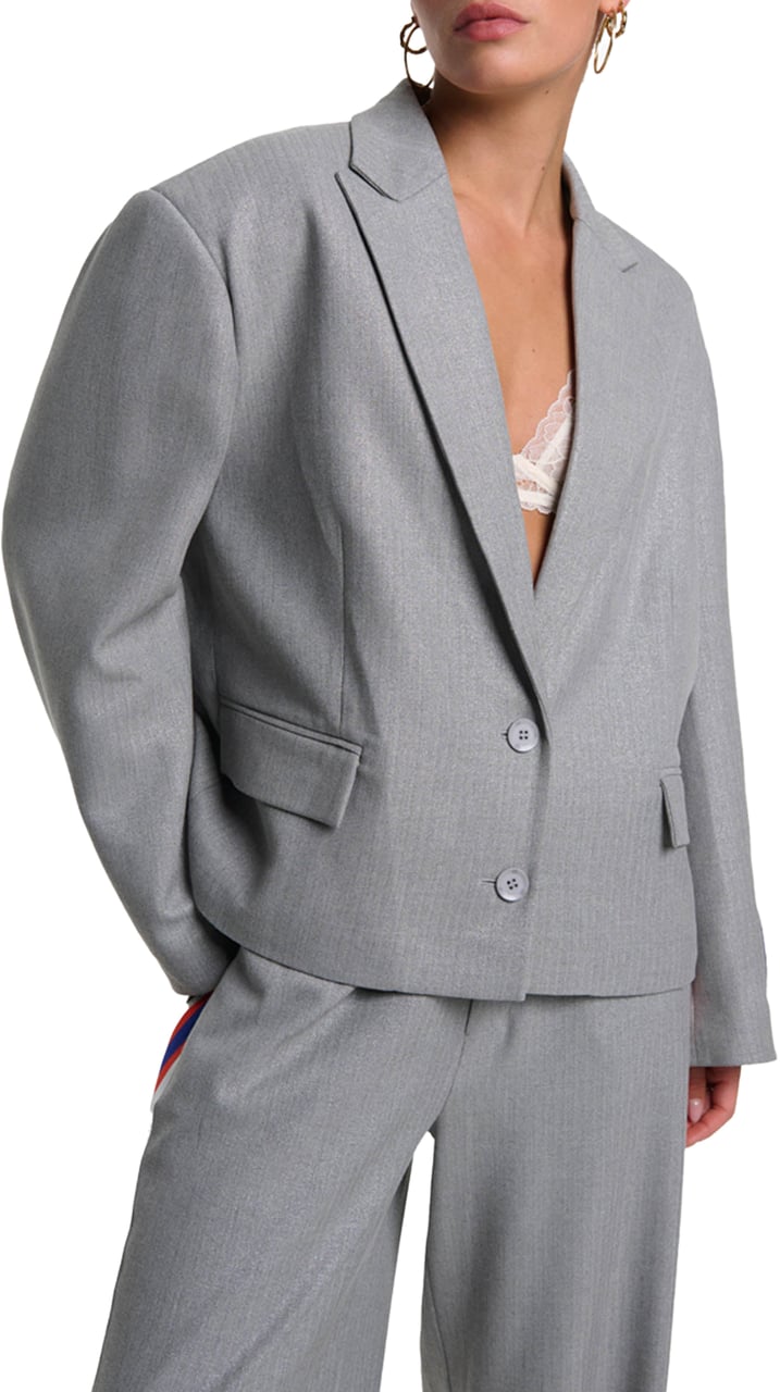 ALIX Coated Herringbone Blazer Grijs
