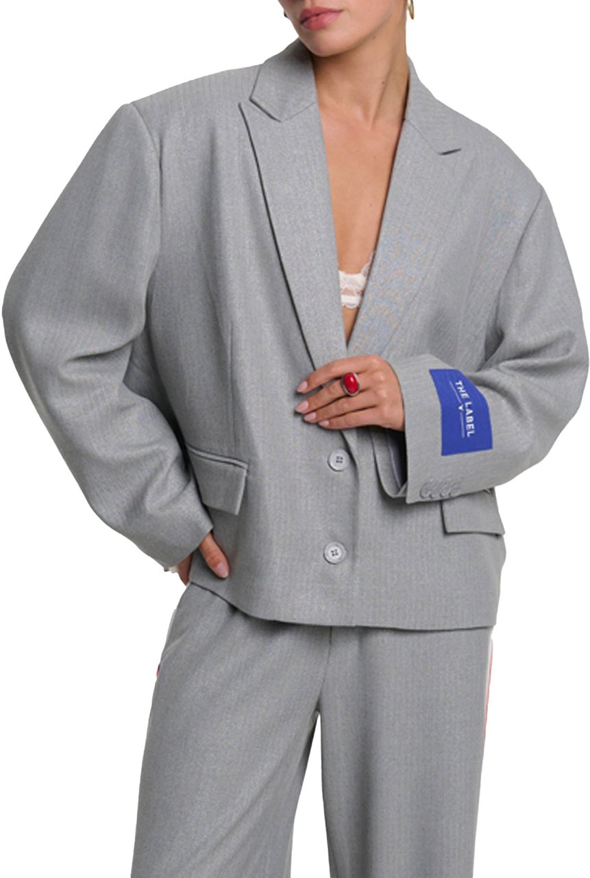 ALIX Coated Herringbone Blazer Grijs
