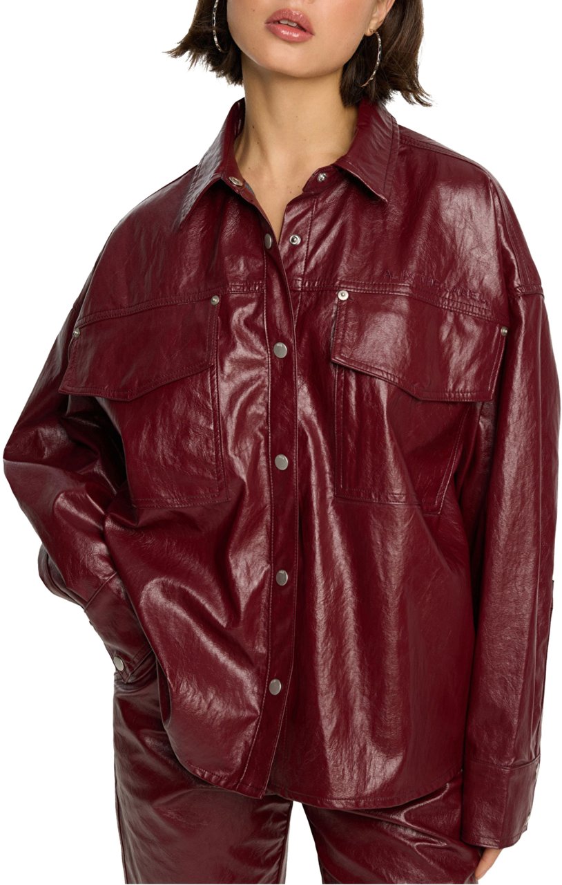 ALIX Alix The Label  Blouses Bordeaux 2509412310 Rood