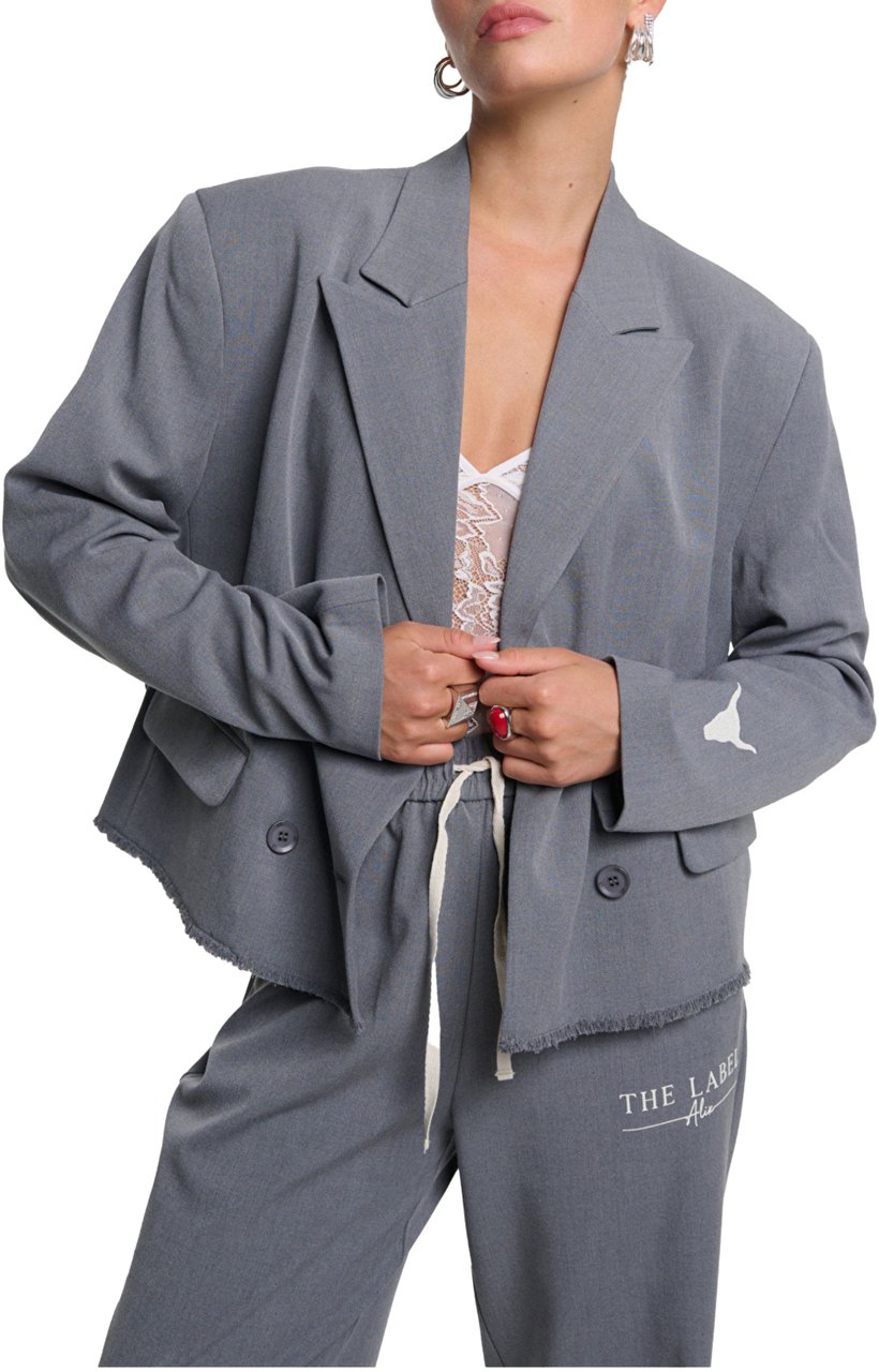 ALIX Alix The Label  Blazers Grijs 2509424328 Grijs