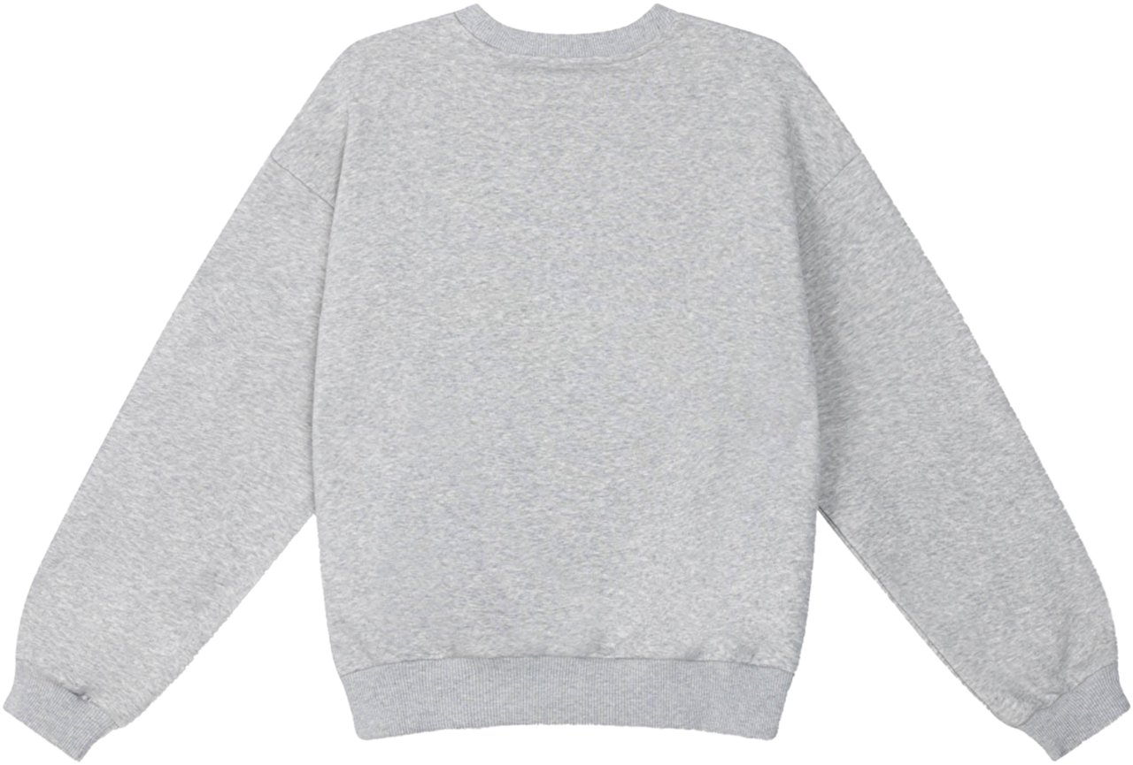 ALIX Foil Alix Sweater Grijs