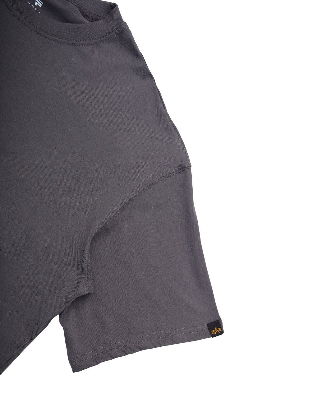 Alpha Industries T-Shirt Studio Edition Vintage Grey Divers