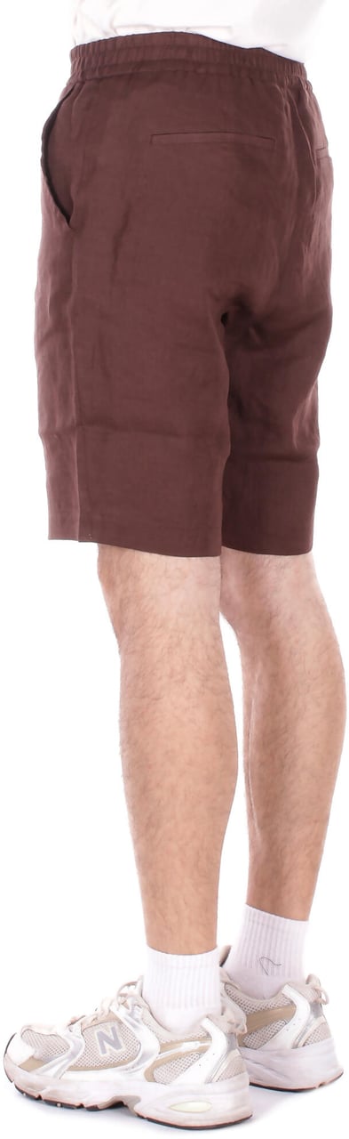 Alpha Studio Shorts Cioccolato Bruin
