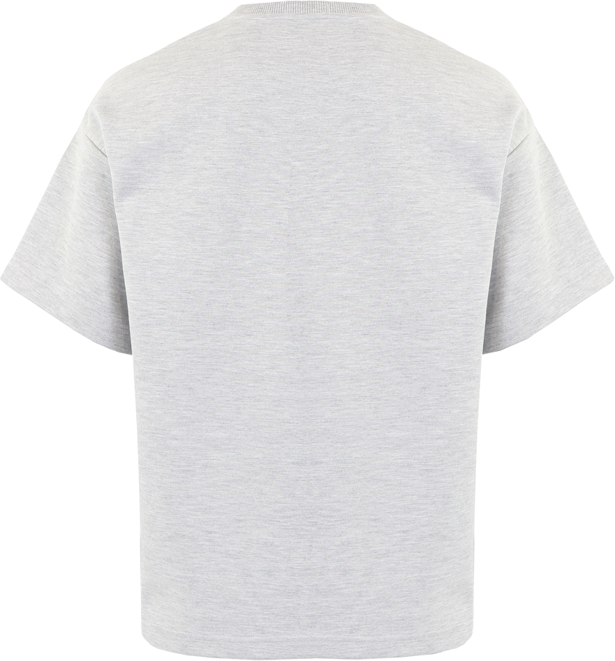 AlphaTauri Heren Jahev T-Shirt Grijs Grijs