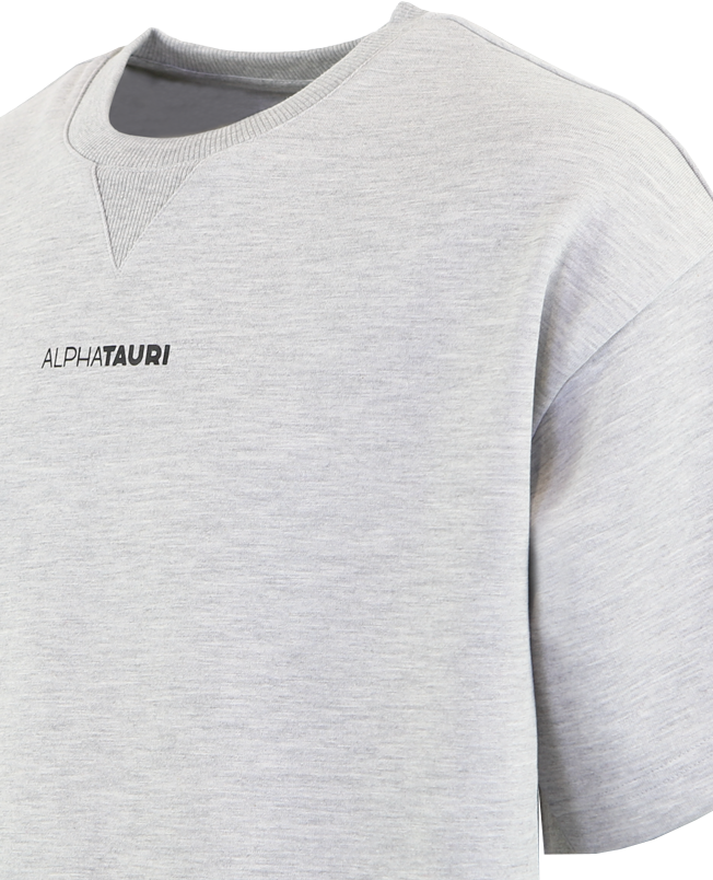 AlphaTauri Heren Jahev T-Shirt Grijs Grijs