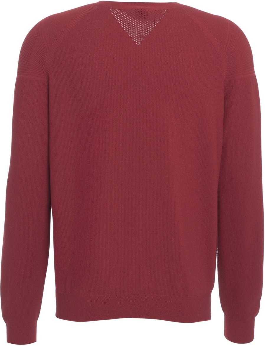 AlphaTauri Pullover Divers