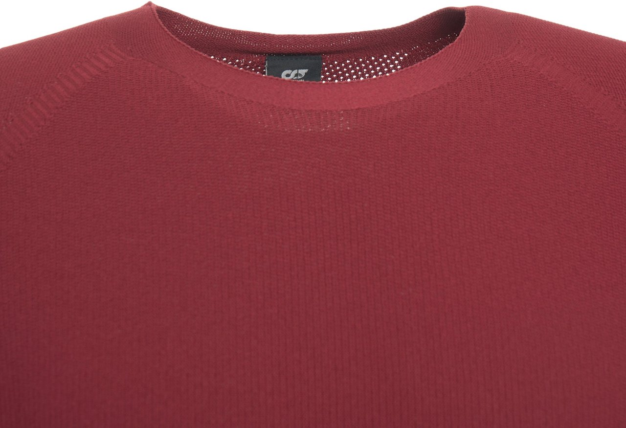 AlphaTauri Pullover Divers