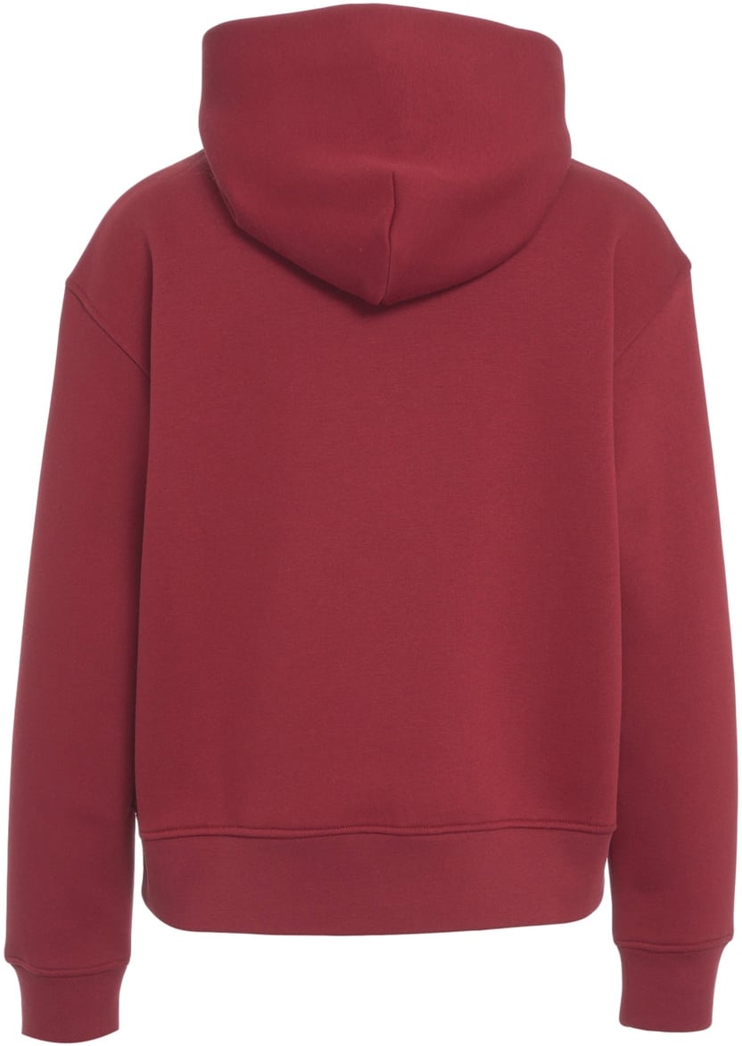 AlphaTauri Hoodie with logo lettering Divers