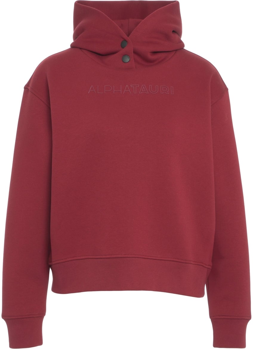 AlphaTauri Hoodie with logo lettering Divers