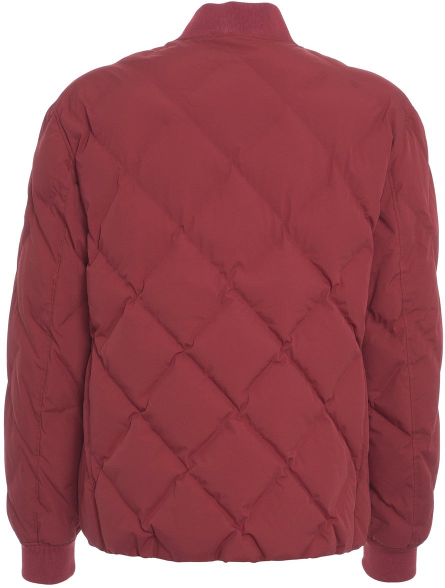 AlphaTauri Quilted bomber Rood