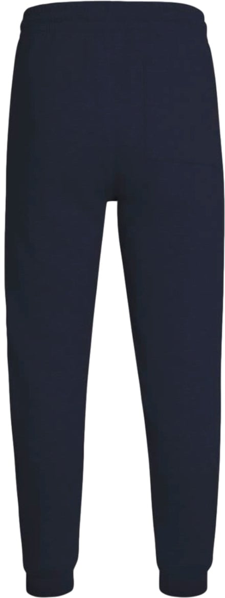AlphaTauri Joggers with logo Zwart