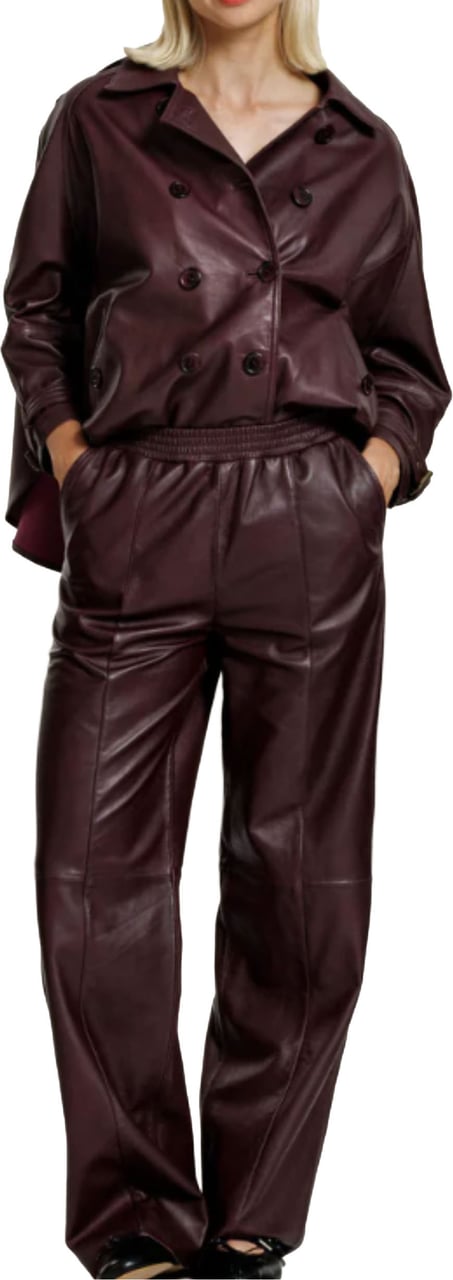 Alter Ego Alter Ego Lucca Leren Broeken Bordeaux W534 Rood