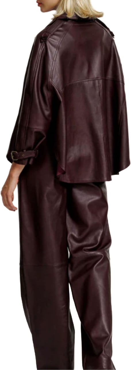 Alter Ego Alter Ego Lucca Leren Broeken Bordeaux W534 Rood