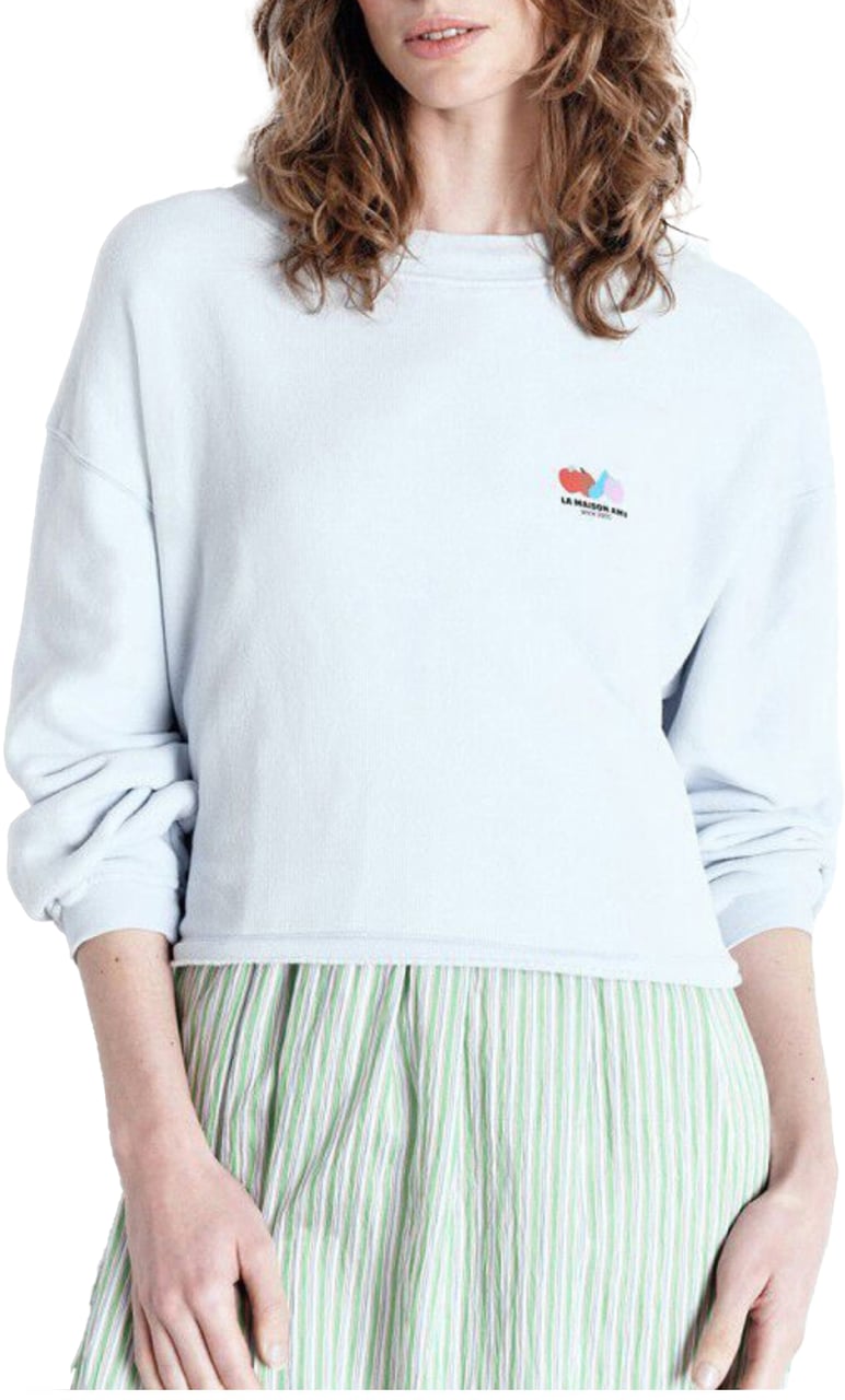 American Vintage American Vintage Atubay Sweaters Lichtblauw Atu03ae25 Blauw