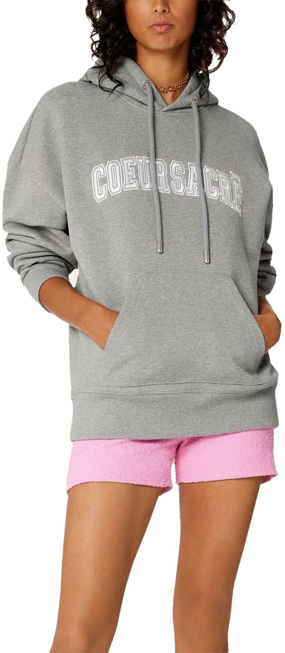 AMI Paris Sweaters Gris Grijs