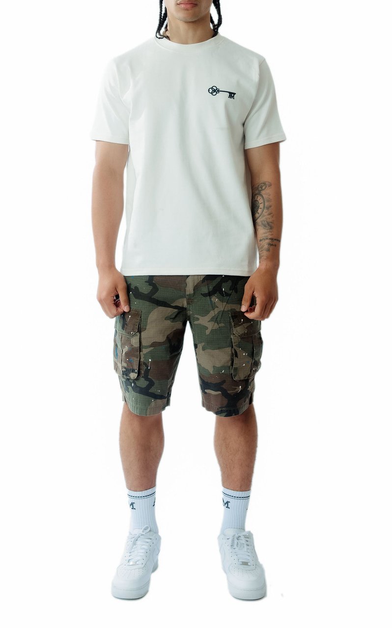 Amicci Flavio Shorts Groen