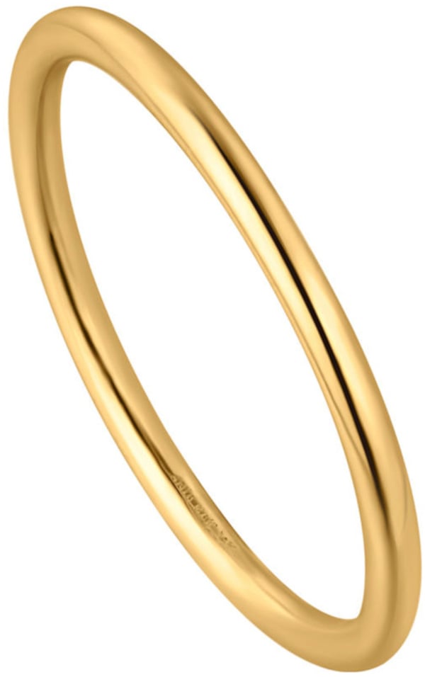 Ania Haie Ania Haie 14kt Gold AH RAU001-06YG-57 Dames Ring Goud