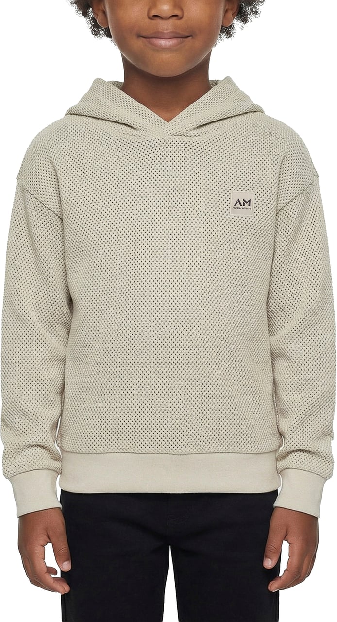 Antony Morato HOODIE RELAXED FIT WITH PATCH Divers