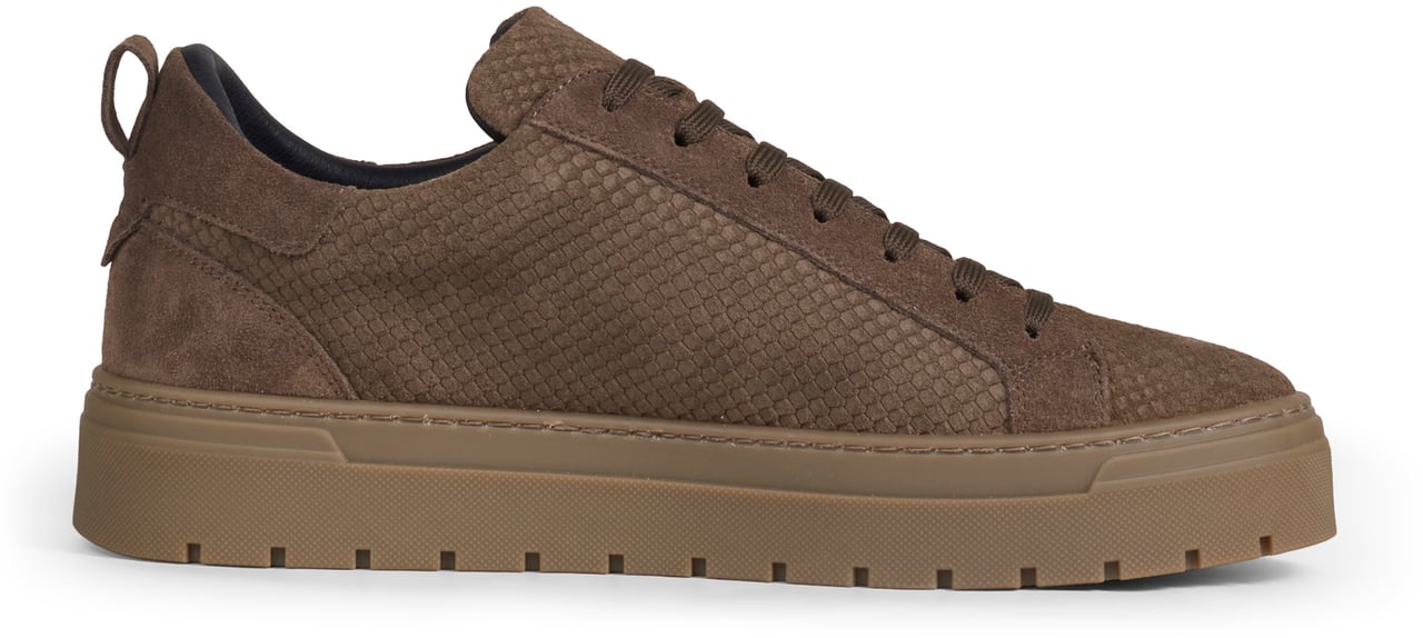 Antony Morato SNEAKER METAL BOLD ANIMAL IN CAMOSCIO Bruin
