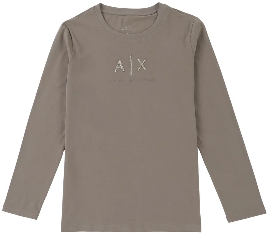 Armani Exchange T-Shirts And Polos Brown Bruin