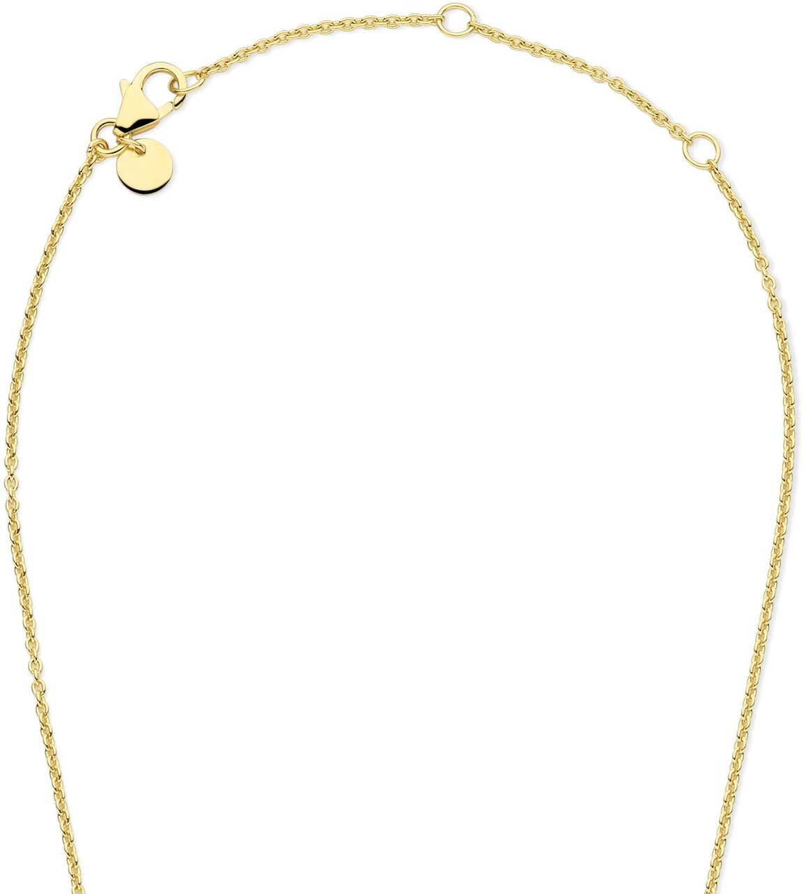 Arte Antwerp Parte Di Me Brioso Cortona - Ketting - GoudWit Goud