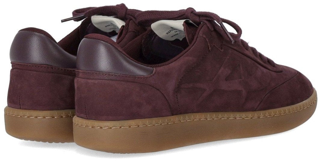 Ash ASH SIENA BURGUNDY SNEAKER Rood