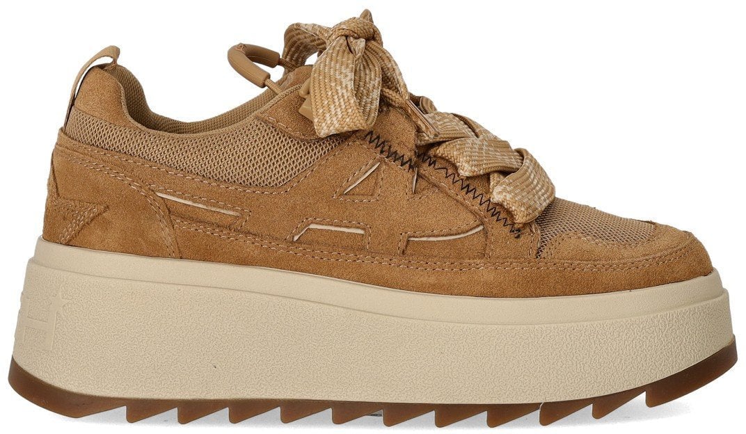 Ash ASH MOVIE BIS CAMEL SNEAKER Bruin