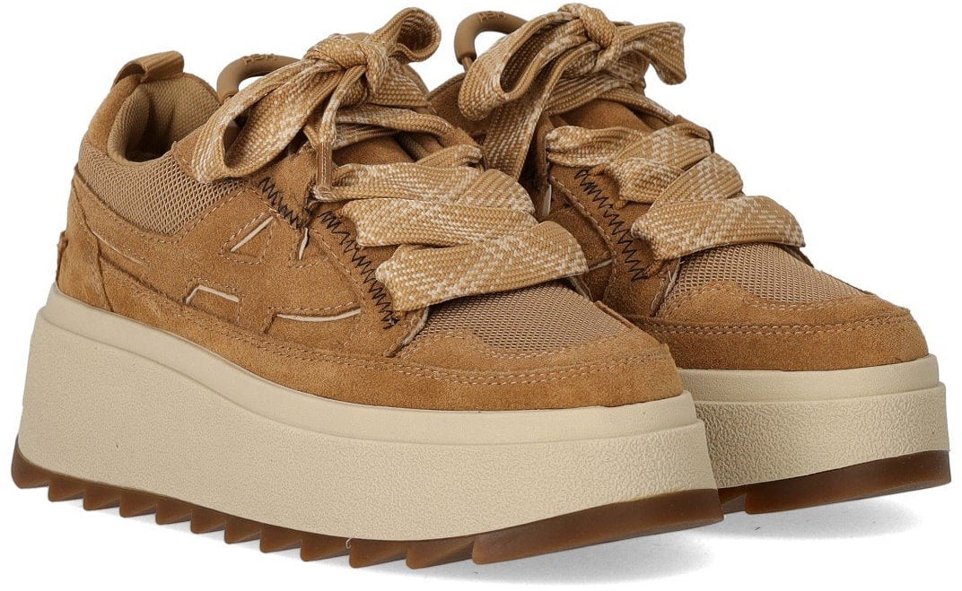 Ash ASH MOVIE BIS CAMEL SNEAKER Bruin
