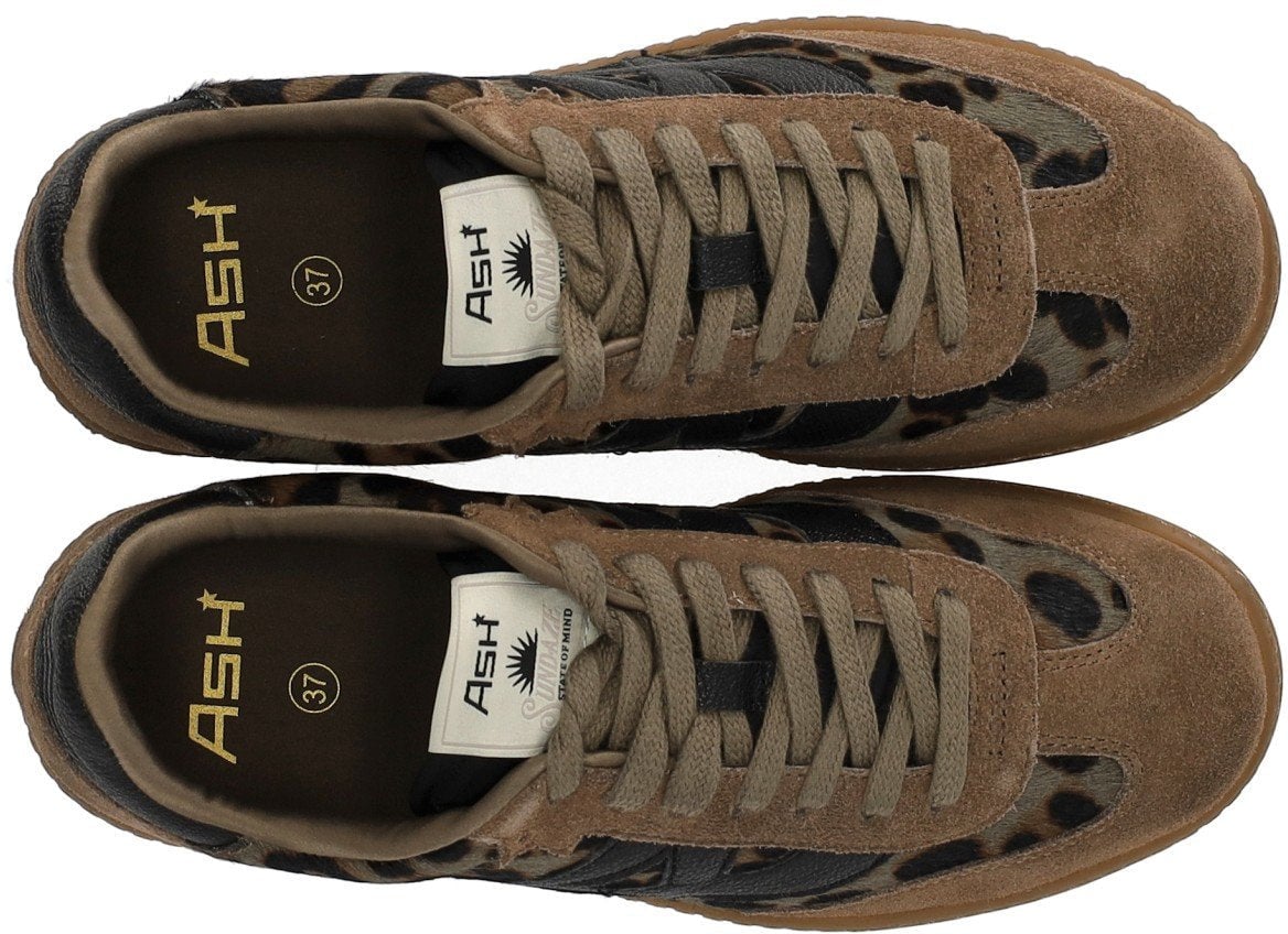 Ash ASH SUNSET ANIMAL PRINT SNEAKER Bruin