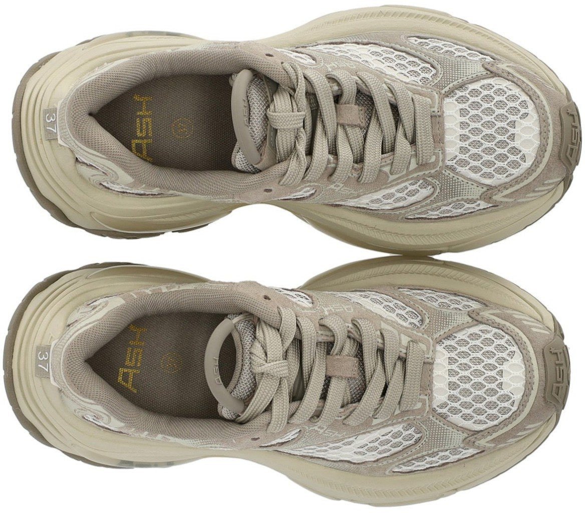 Ash ASH DRAGON GREY SNEAKER Grijs