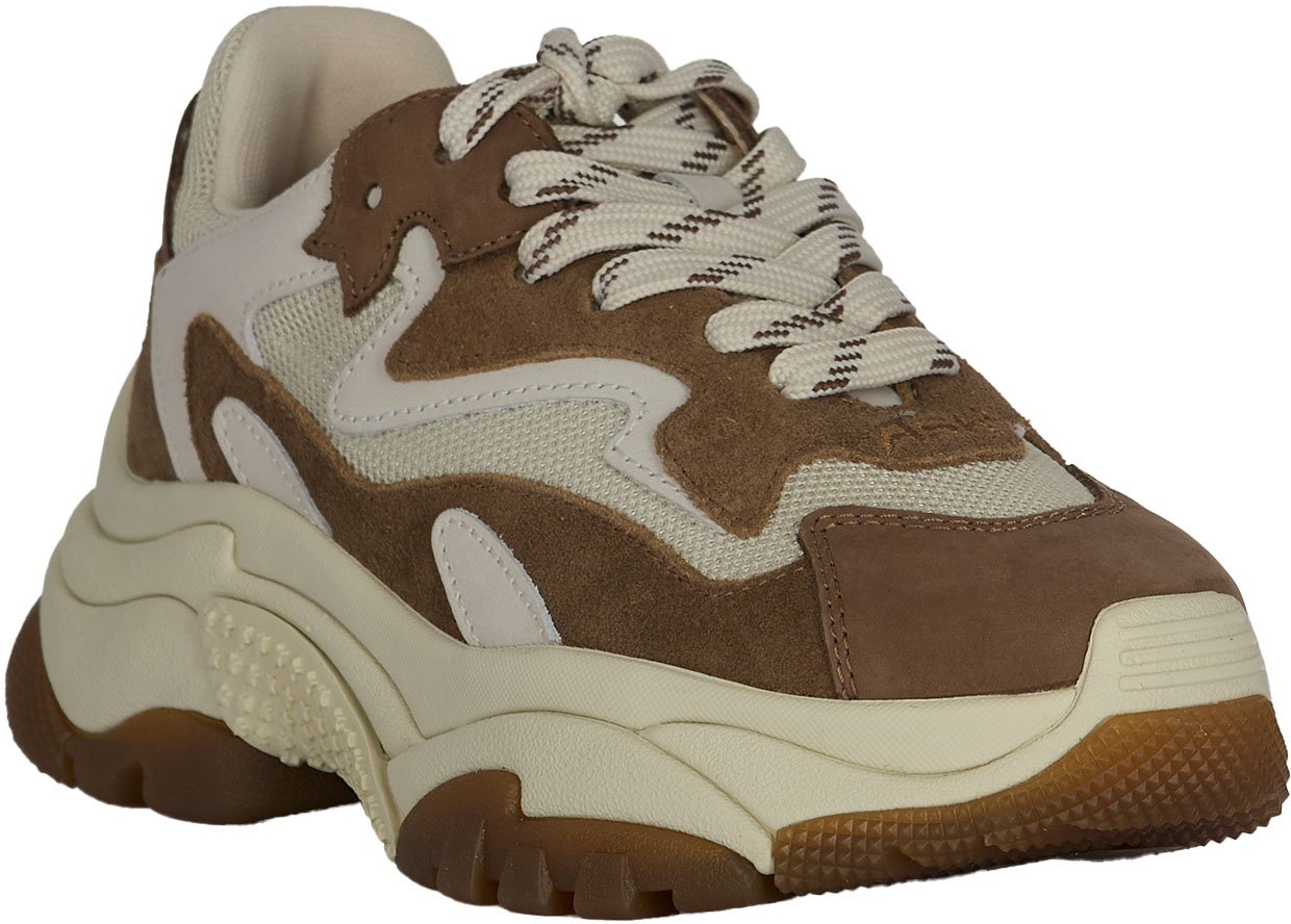Ash Sneakers Fandangotalc Bruin