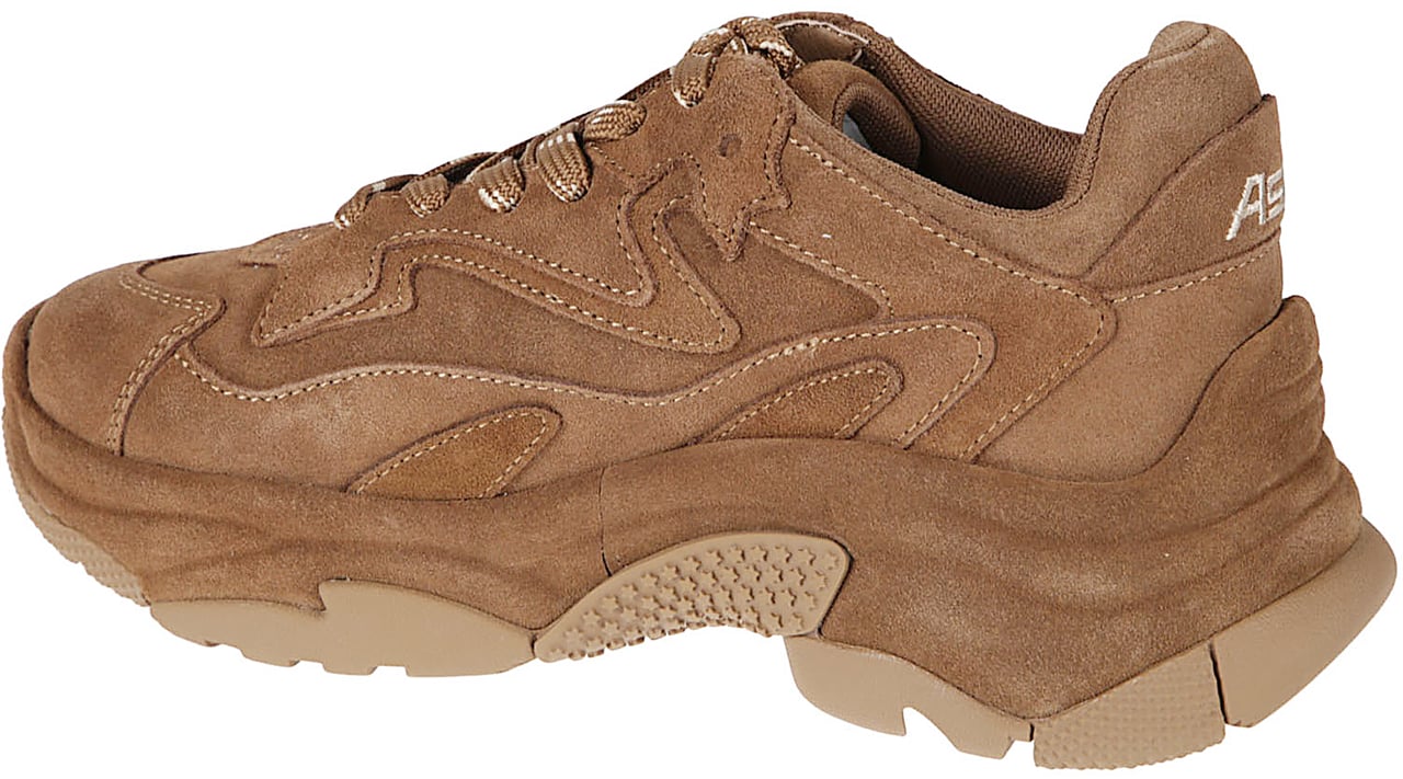 Ash Addict Sneakers Brown Bruin