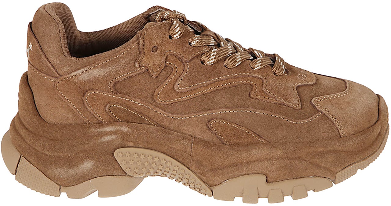 Ash Addict Sneakers Brown Bruin