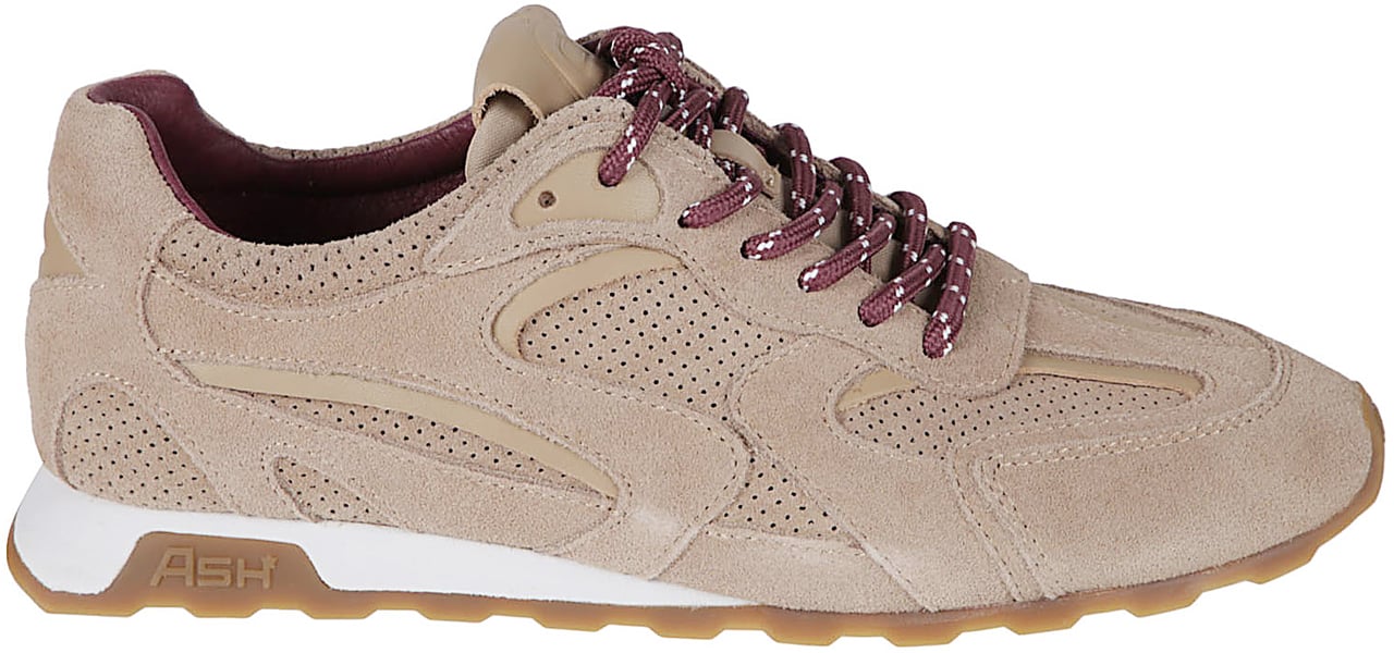 Ash Kasar Sneakers Brown Bruin