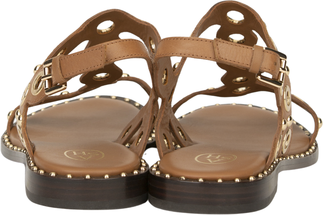 Ash Flat Shoes Brown Bruin