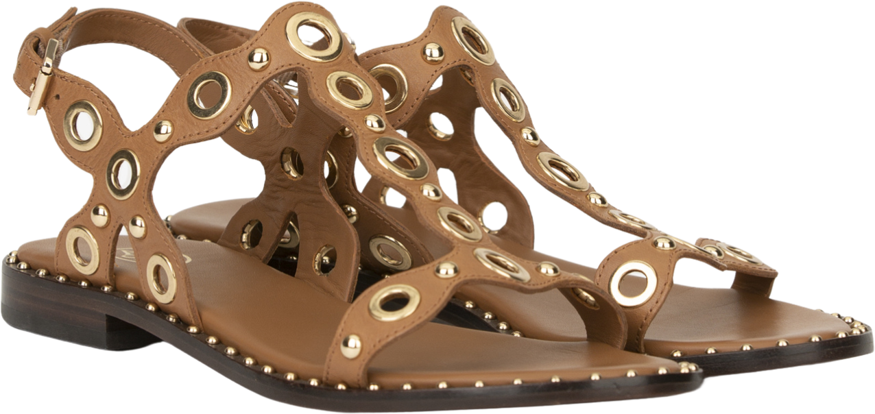 Ash Flat Shoes Brown Bruin