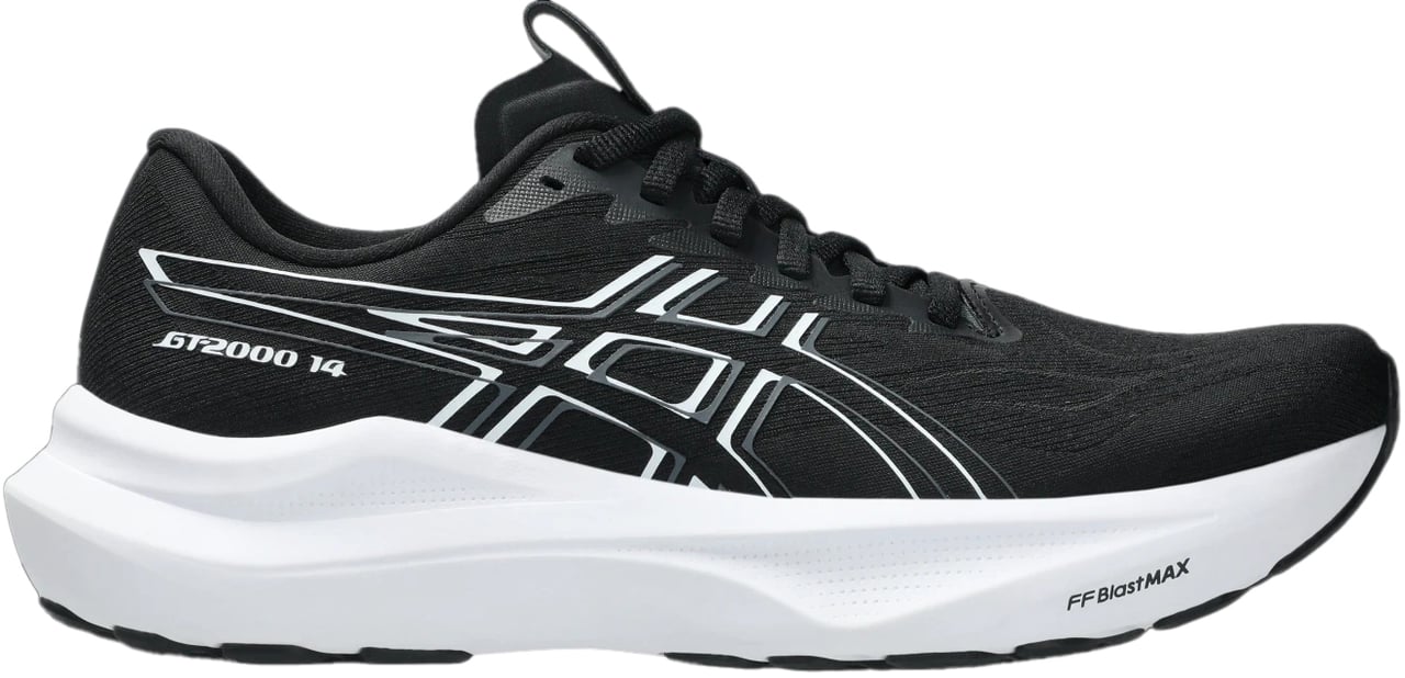 Asics GT-2000 14 Divers